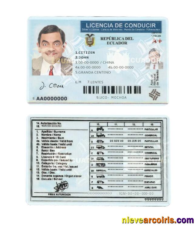 Ecuador driving license